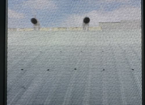 SC Adhesion Flat Window Screen|Mosquito Window Screen|HunKun