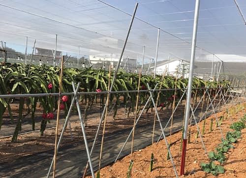 LA LB Leno Agriculture Sun Shade Net｜HunKun