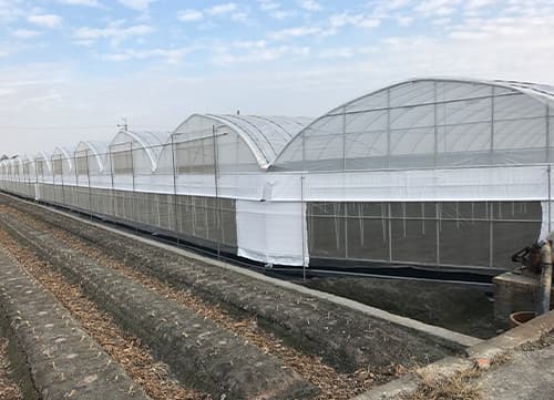 LA LB Leno Greenhouse Shade Netting｜HunKun