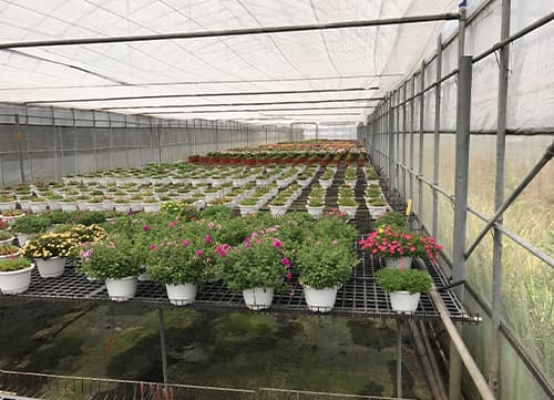 LA LB Greenhouse Shade Netting｜HunKun