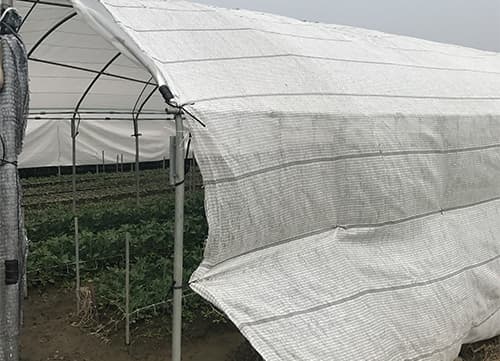LA LB Leno Greenhouse Shading Net｜HunKun