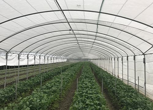 Leno Agriculture Sun Shade Net｜HunkunNET