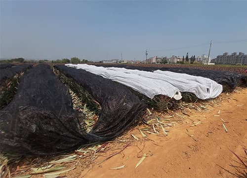 Leno Agriculture Weaving Sun Shade Net｜HunKun