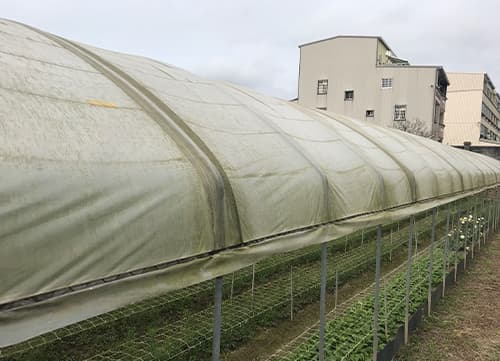 LC Anti-Hail Net｜Shade Netting Manufacturer｜HunKun