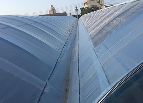 LR Leno Weaving Fruit Fly Net｜Custom Shade Netting｜HunKun